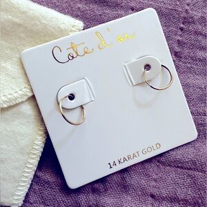 Ultra-dainty 14k small hoop gold earrings